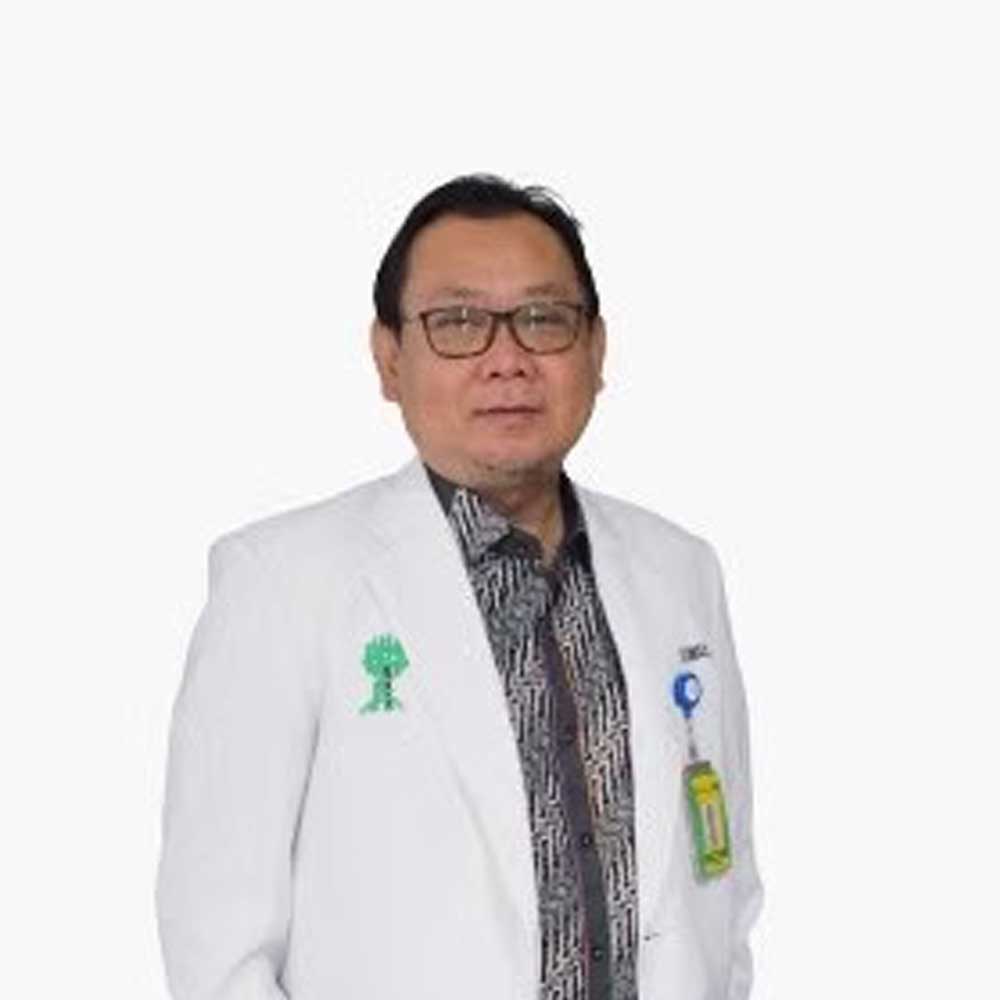 Read more about the article Prof. DR. Dr. Ismail Hadisoebroto Dilogo, Sp.OT (K)
