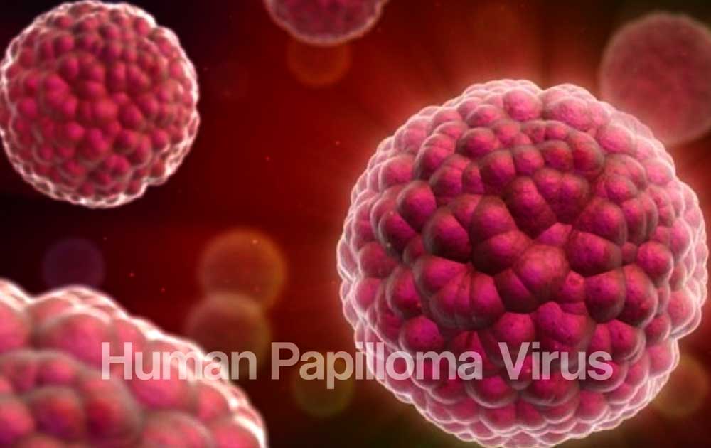 Read more about the article Infeksi HPV dan Kanker Serviks: Kenali Infeksi dan Perlindungan melalui Vaksinasi