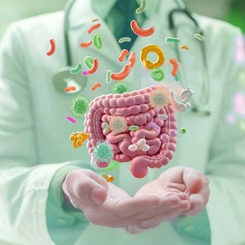 Mikrobioma Usus: Mengenal Peran Usus dalam Sistem Imun